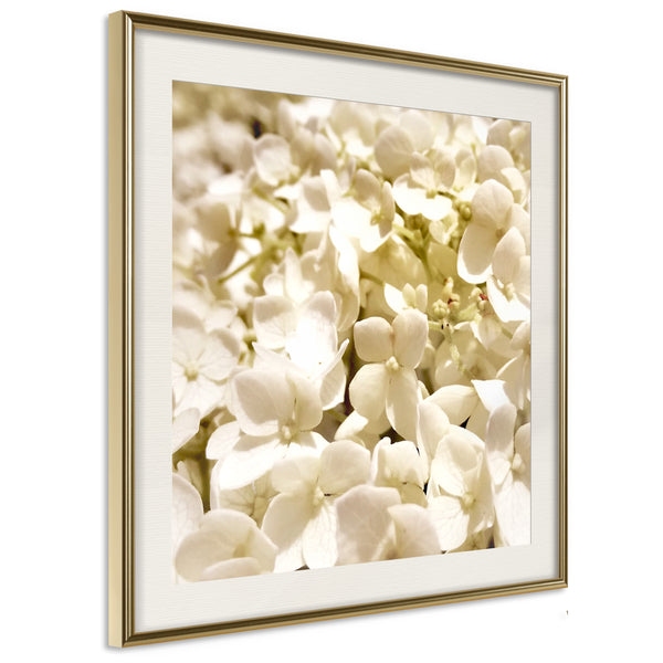 Poster - Soothing Flowers  - goud passepartout