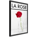 Poster - Rose in the Vase  - zwart