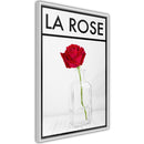 Poster - Rose in the Vase  - wit