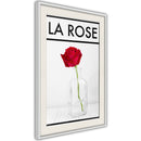 Poster - Rose in the Vase  - wit passepartout