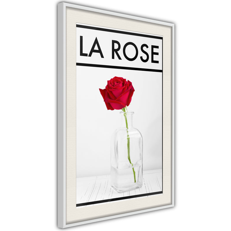 Poster - Rose in the Vase  - wit passepartout
