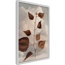Poster - Leaves in the Clouds  - wit