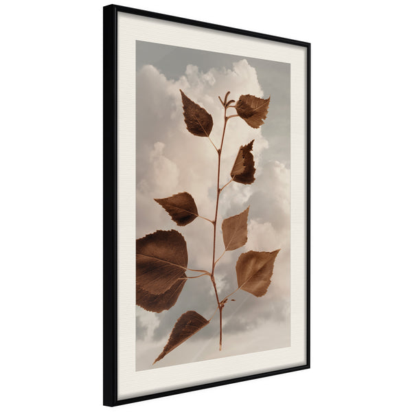 Poster - Leaves in the Clouds  - zwart passepartout