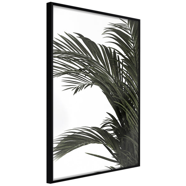 Poster - Jungle Scent  - zwart