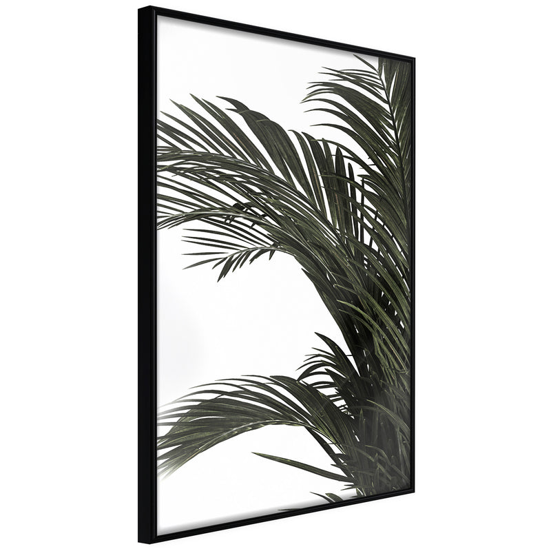 Poster - Jungle Scent  - zwart
