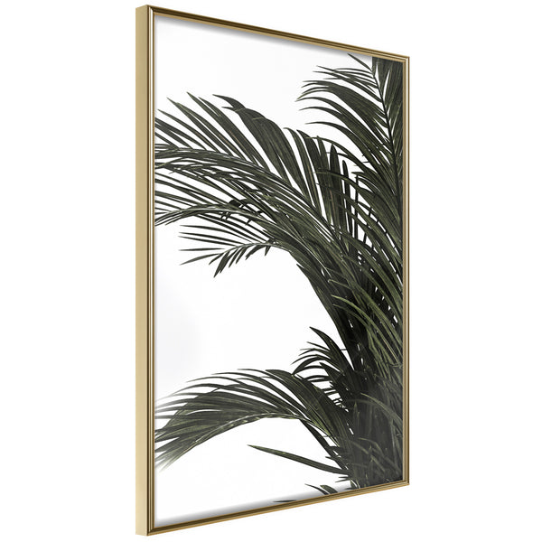Poster - Jungle Scent  - goud