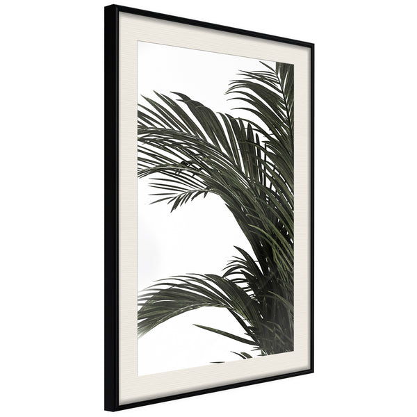 Poster - Jungle Scent  - zwart passepartout