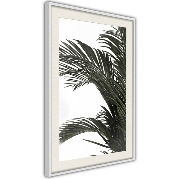 Poster - Jungle Scent  - wit passepartout
