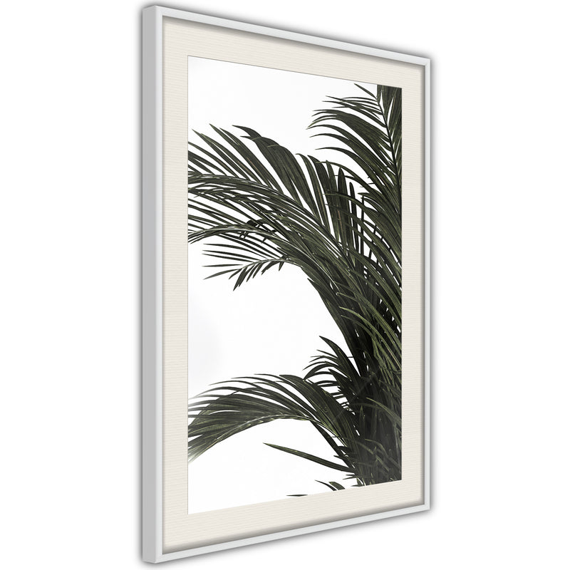 Poster - Jungle Scent  - wit passepartout