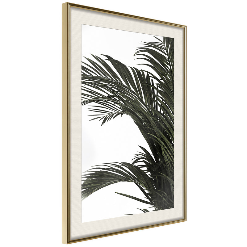 Poster - Jungle Scent  - goud passepartout