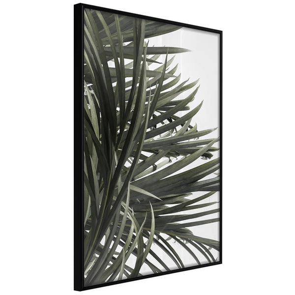 Poster - Little Tropics  - zwart