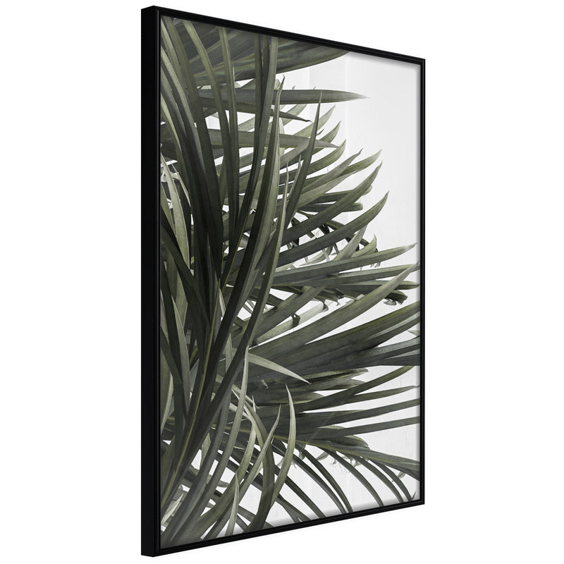 Poster - Little Tropics  - zwart