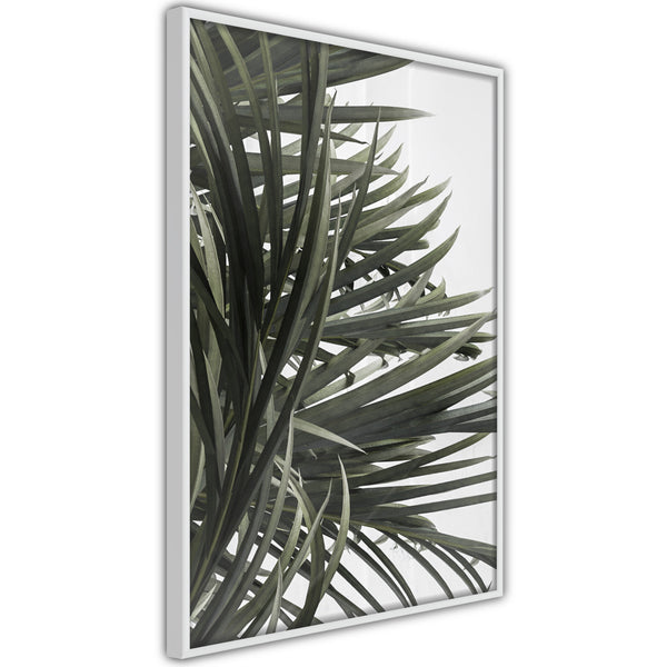 Poster - Little Tropics  - wit