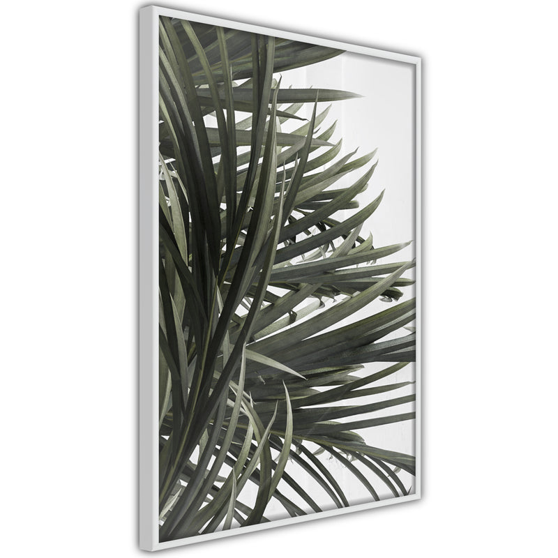 Poster - Little Tropics  - wit