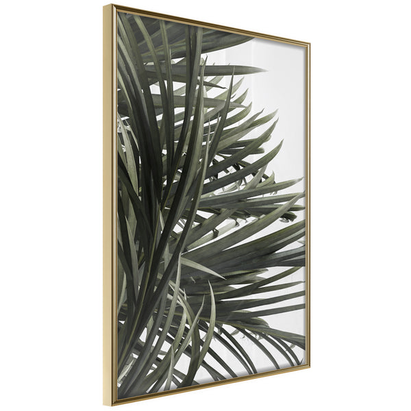 Poster - Little Tropics  - goud