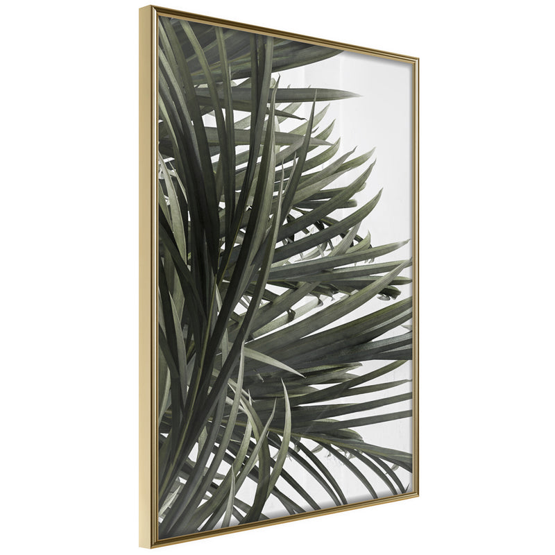Poster - Little Tropics  - goud