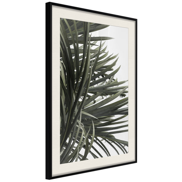 Poster - Little Tropics  - zwart passepartout