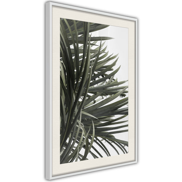 Poster - Little Tropics  - wit passepartout