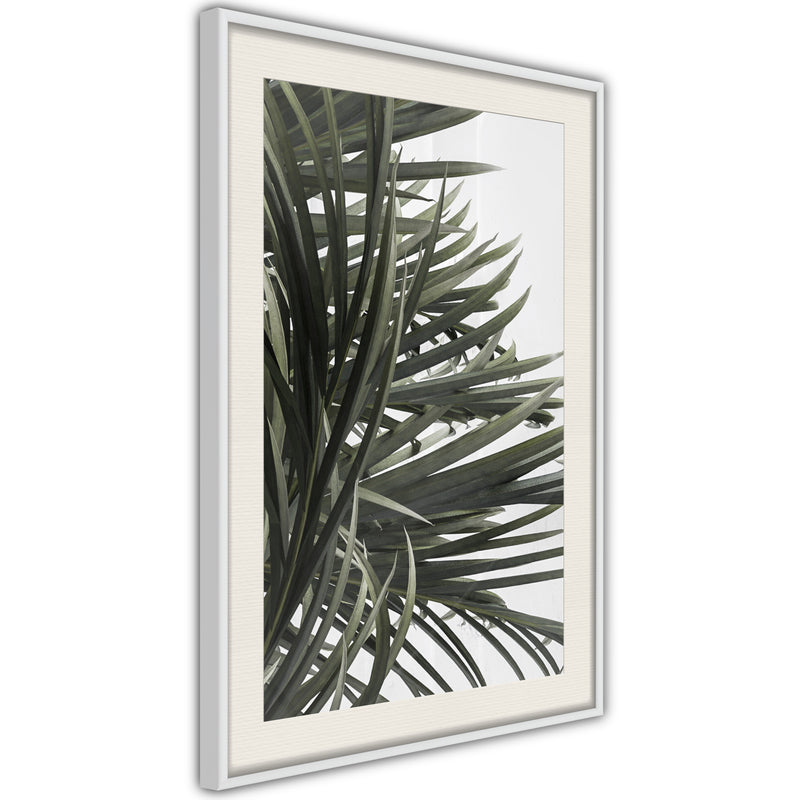 Poster - Little Tropics  - wit passepartout