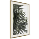 Poster - Little Tropics  - goud passepartout