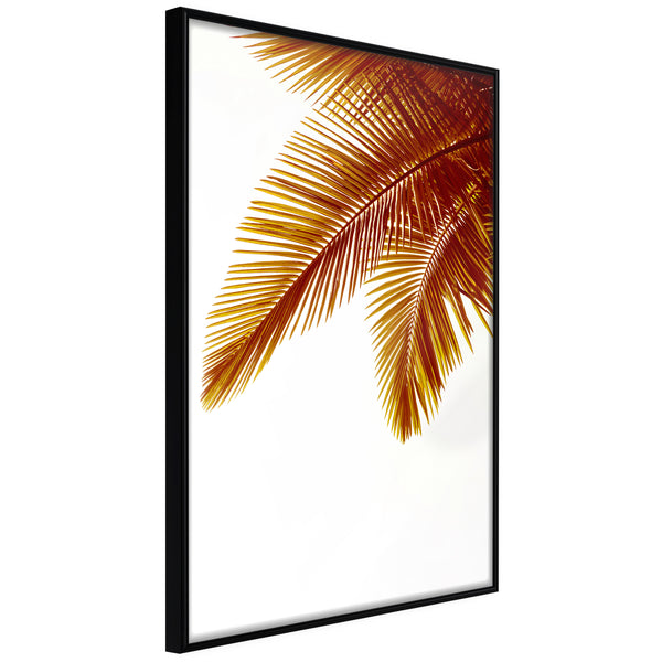 Poster - Hot Evening  - zwart