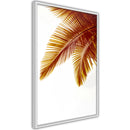 Poster - Hot Evening  - wit