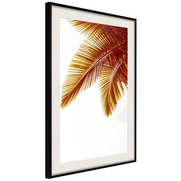 Poster - Hot Evening  - zwart passepartout