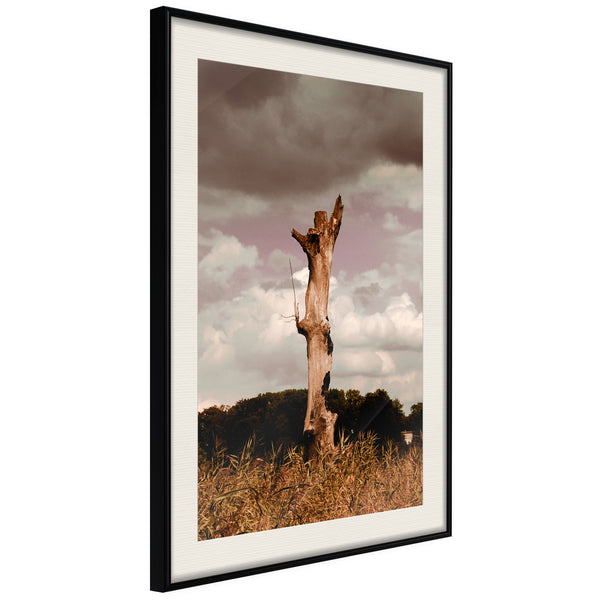 Poster - Loneliness in Nature  - zwart passepartout