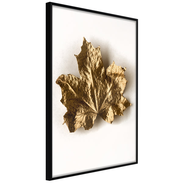 Poster - Dried Maple Leaf  - zwart