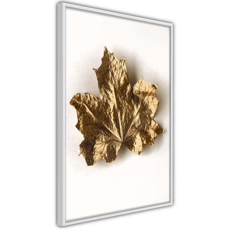 Poster - Dried Maple Leaf  - wit