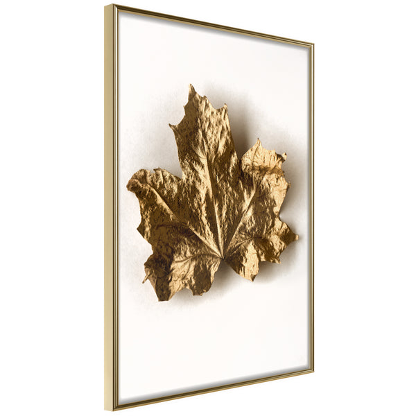 Poster - Dried Maple Leaf  - goud
