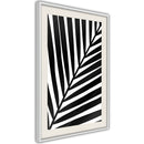 Poster - Black Palm  - wit passepartout
