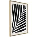 Poster - Black Palm  - goud passepartout