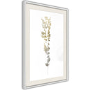 Poster - Fragment of Nature  - wit passepartout