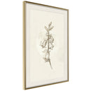 Poster - Beige Campanula  - goud passepartout