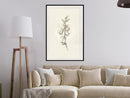 Poster - Beige Campanula  - zwart passepartout