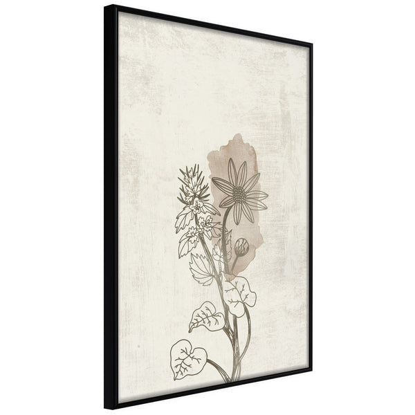 Poster - Life of Plants  - zwart