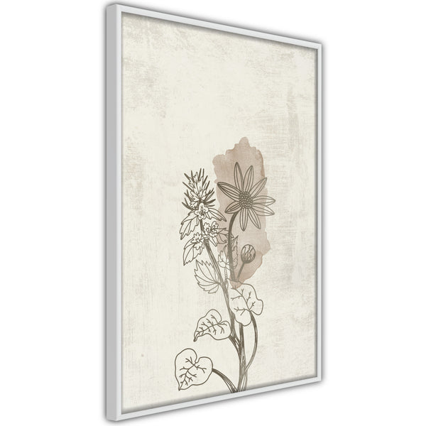 Poster - Life of Plants  - wit