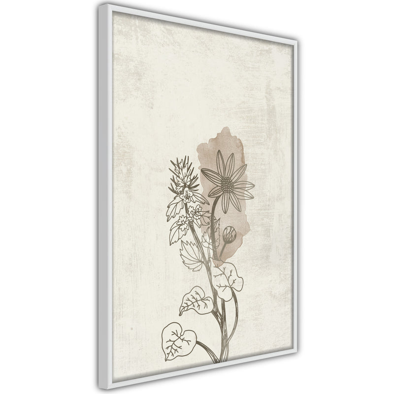 Poster - Life of Plants  - wit