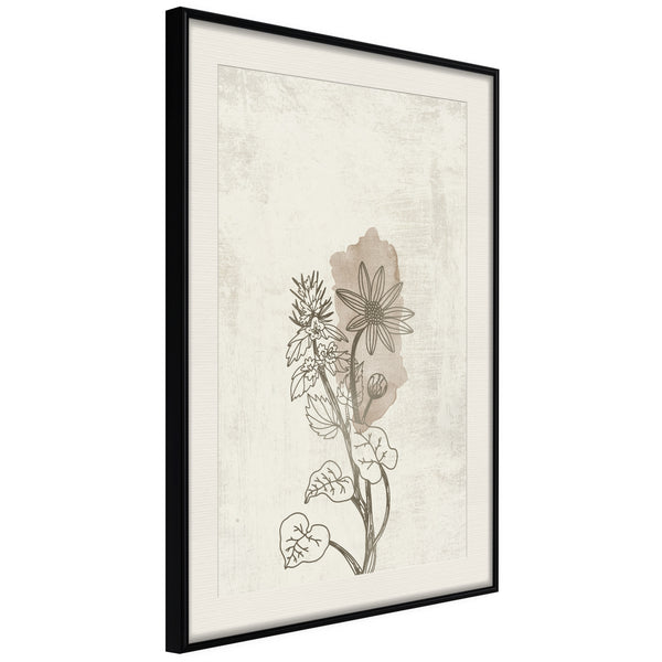 Poster - Life of Plants  - zwart passepartout