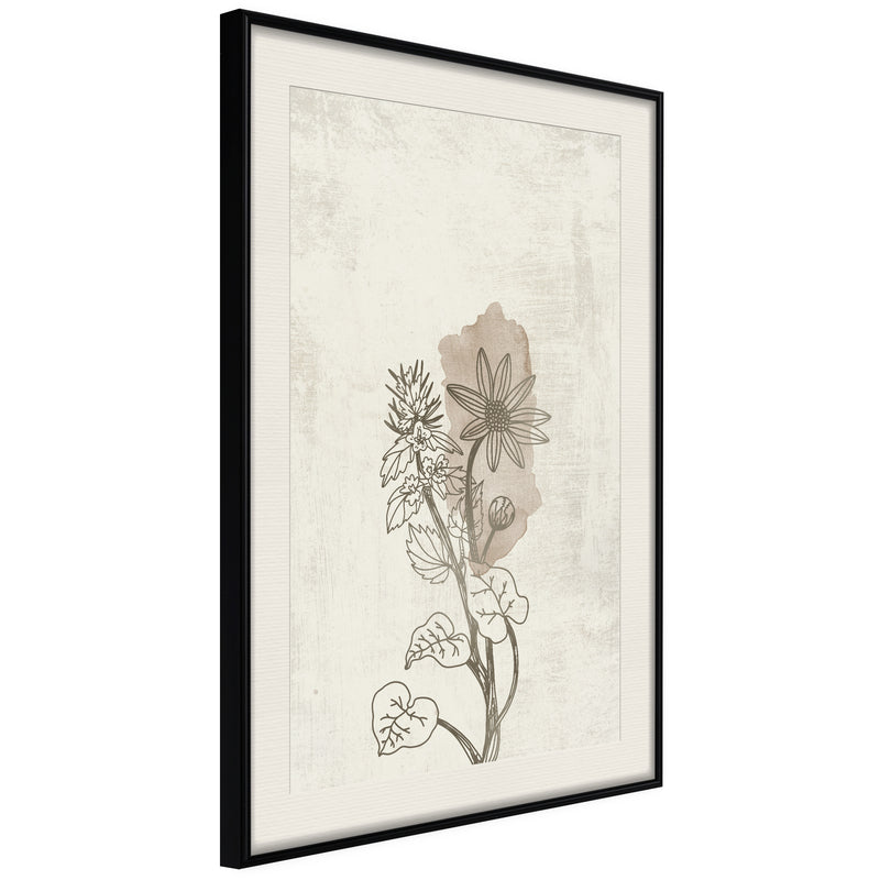 Poster - Life of Plants  - zwart passepartout