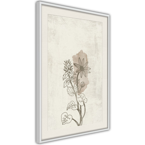 Poster - Life of Plants  - wit passepartout