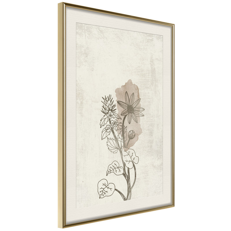 Poster - Life of Plants  - goud passepartout