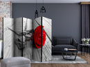 https://www.fotoartgeist.pl/ebaytemp/parawan/b-B-0025-z-c/b-B-0025-z-c-ebVis2.jpg