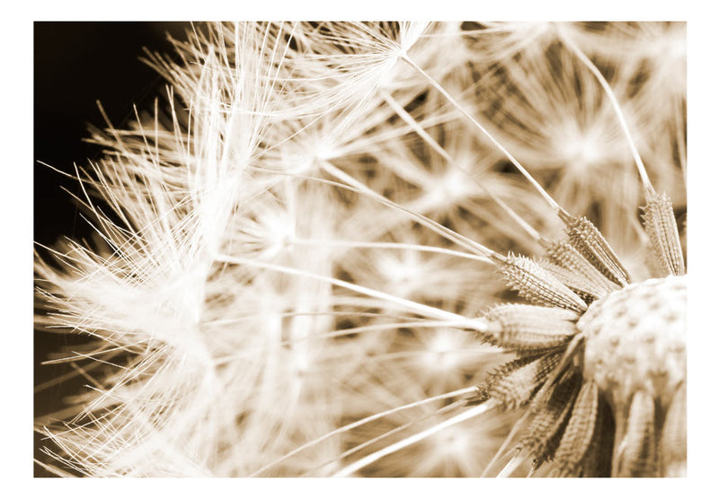 https://www.fotoartgeist.pl/ebaytemp/fototapety/b-B-0028-a-c/b-B-0028-a-c.jpg