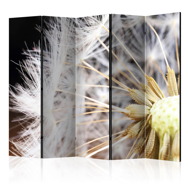 https://www.fotoartgeist.pl/ebaytemp/parawan/b-B-0028-z-c/b-B-0028-z-c-eb1.jpg