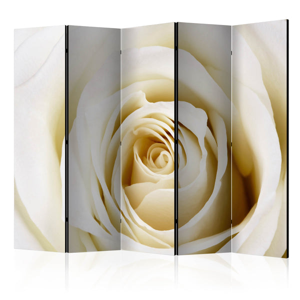 https://www.fotoartgeist.pl/ebaytemp/parawan/b-B-0035-z-c/b-B-0035-z-c-eb1.jpg