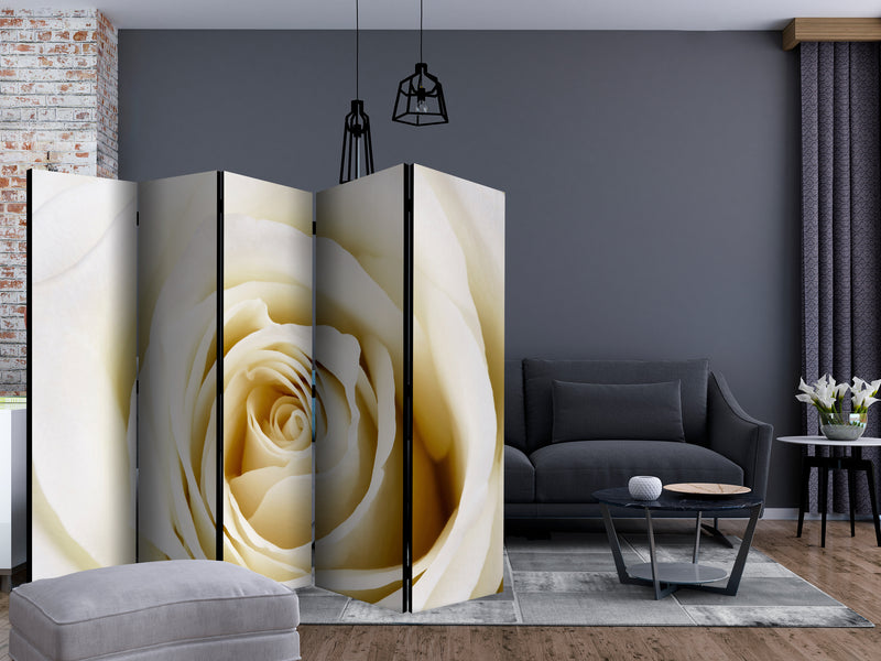 https://www.fotoartgeist.pl/ebaytemp/parawan/b-B-0035-z-c/b-B-0035-z-c-ebVis2.jpg