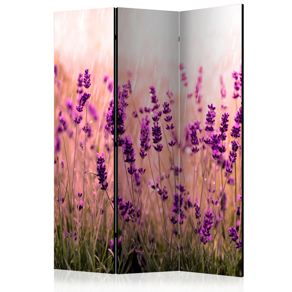 https://www.fotoartgeist.pl/ebaytemp/parawan/b-B-0111-z-b/b-B-0111-z-b-eb1.jpg