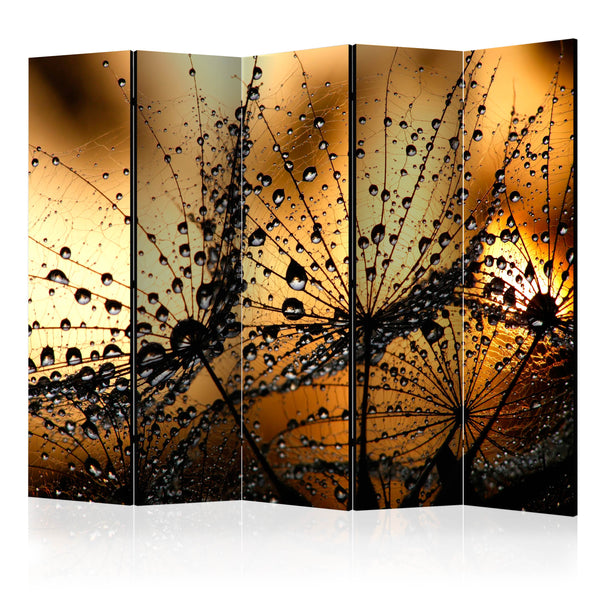 https://www.fotoartgeist.pl/ebaytemp/parawan/b-B-0129-z-c/b-B-0129-z-c-eb1.jpg